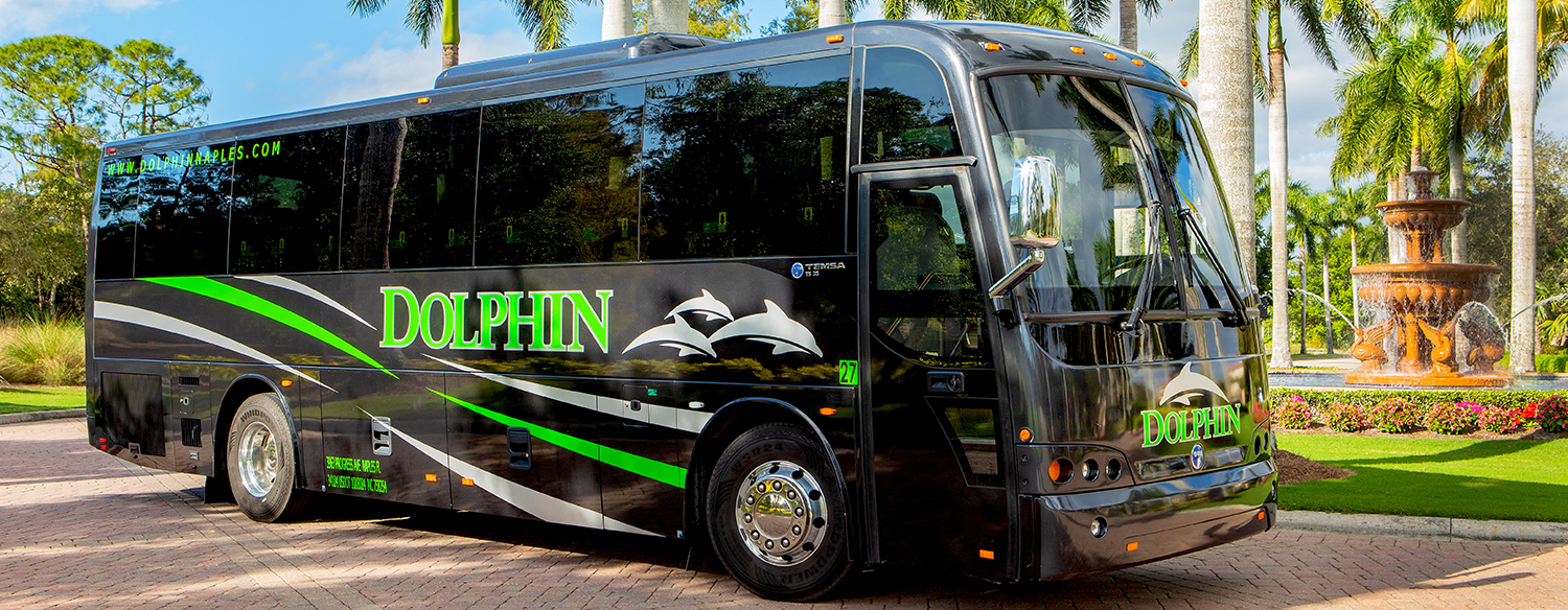 dolphin bus tours naples fl