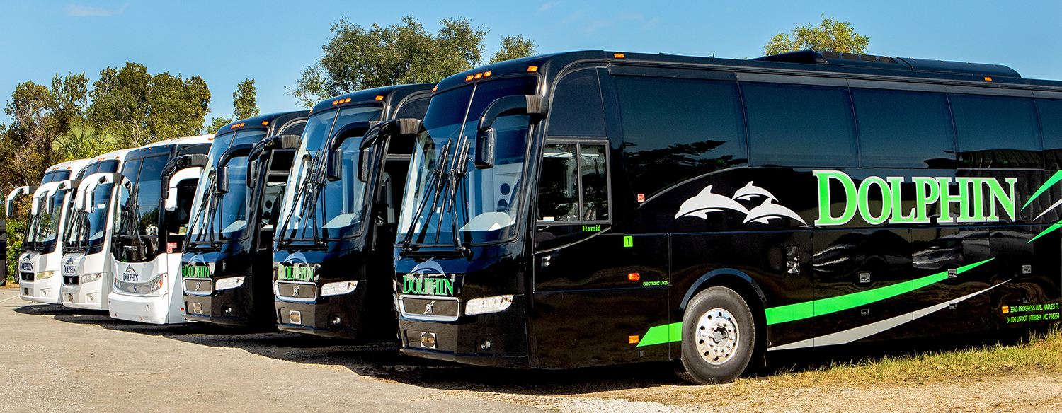 Our Fleet  Fabulous Buses & Tours