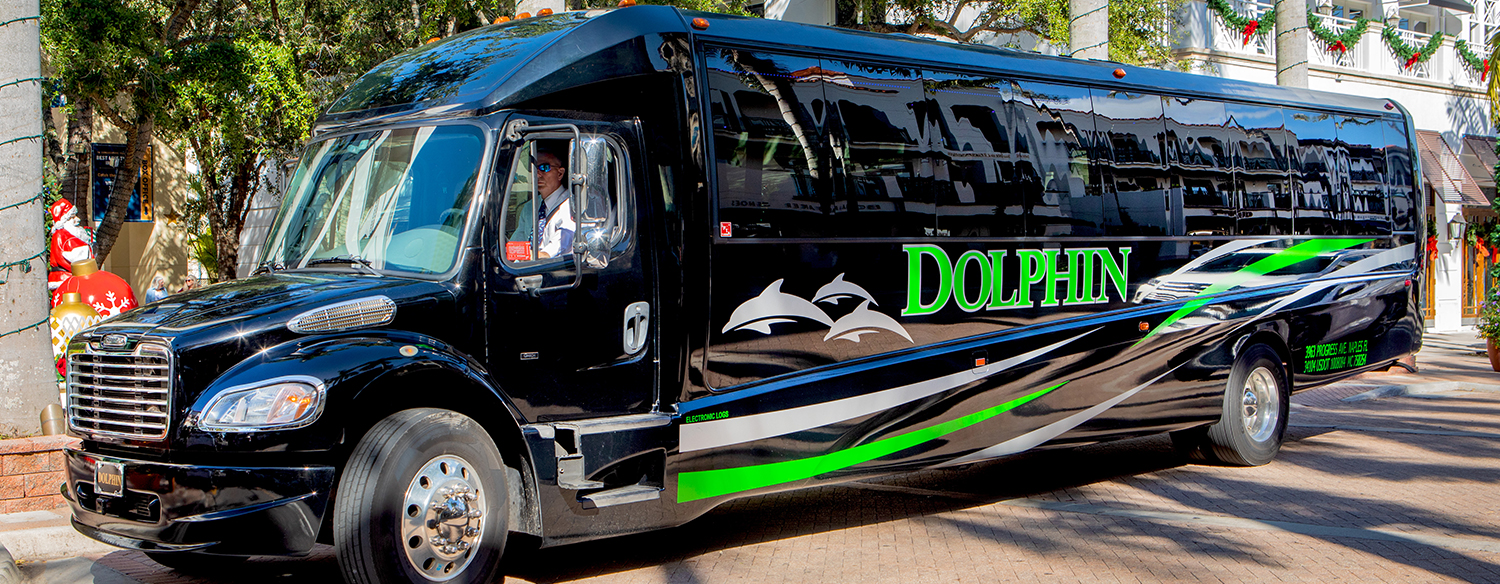 dolphin bus tours naples fl